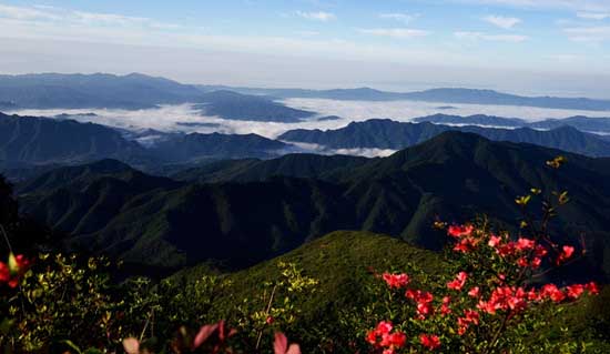 大圍山云海奇觀